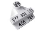 EZid - Electronic Identification Cattle Tags