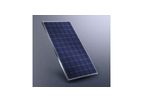 Schüco - Model MS series - Monocrystalline PV Modules