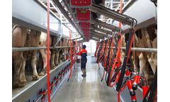 Pearson - Swingover Milking Parlour