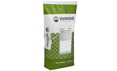 Innovad - Model Cerebra S - Streptococcus Suis