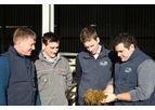 Ruminant Support Services
