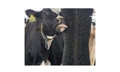 Futurecow - Cow Brush