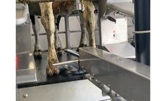 FutureCow - Model UdderMister Series - Automated Teat Dip Sprayer