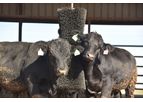 FutureCow ComfortBrush - Cattle Brush