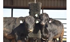 FutureCow ComfortBrush - Cattle Brush