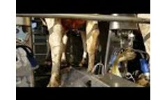 Udder Mister 1.0: Automated Teat Dip Sprayer - Video