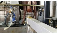 FutureCow Udder Mister 2.0: Automated Teat Dip Teat Sprayer - Video