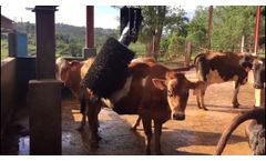 Futurecow Compact Cow Brush - Video