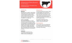Hygieia - Streptococcus Uberis Bacterin - Brochure