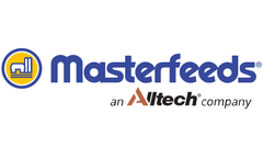 Masterfeeds - Frisky Foal
