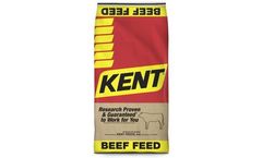 Kent - Performance Primer