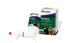 Protect - High-Level Multi-Strain Probiotic Bacteria Supplement