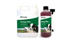 Provita - Model Energy Plus - Ewes - Nutritional Supplement