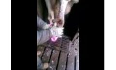 Konquest in Trim Chute Video