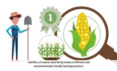 Penergetic Crop Production Overview - Video