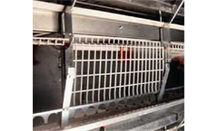 Model Quad Deck - Pullet Cage System