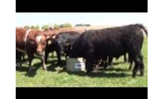 See the SmartLic Difference - Video