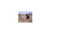 Geotechnical Engineering Services