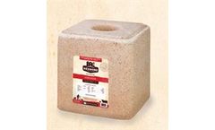 Redmond - Iodized Block