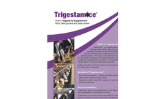 Trigestamace - Digestive Supplement Brochure