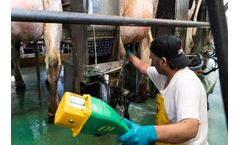 Puli Sistem - Model F71 - Multiple Pre-Milking System