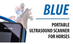 DRAMI&#323;SKI BLUE. The state-of-the-art portable ultrasound scanner for horse diagnosing. - Video