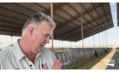 Manage for Fertility - Feed for Fertility - Breed for Fertility - Video