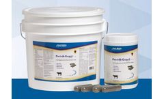 Pect-A-Guard Plus - Nutrional Supplement Capsules