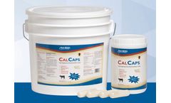 CalCaps - Feed Supplement