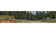 BIND l LITE - Conventional Light Duty Tackifier (Formerly Cliffhanger Tack)