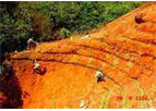 Vetiver Installation Services