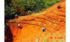 Vetiver Installation Services