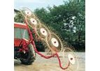 Industrial Mec Abbriata Mario - Model Star- AM4R Series - 4-5-6 Wheels Rakes