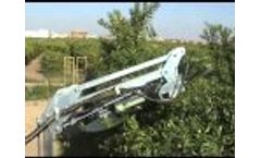 Model PF-605 P / PF-555 P / 555 P6 / PF-407 P / 407 P5 - Articulated Disc Pruning Machine Video