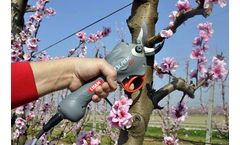 Frumaco - Model BLADE GT - Electric Shear