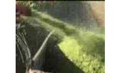 Çelikel Agriculture Single Row Corn Silage Machine performance Video