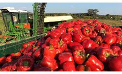 KIT G PepPer - Harvesting Machines - Video