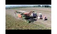 Super G tomato picker, Recolhedora de tomate.Video