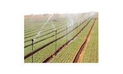 Elysee - PVC Riser ¾ Inch Male Threaded