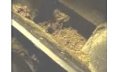 Test Pumping Glutton Animal Feed Video