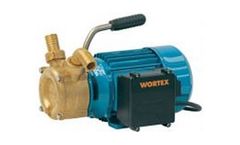 Cospet - Model BP 20 - Selfpriming Bronze Pump