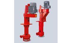 HEPU - Model V - Vertical Solids Pump