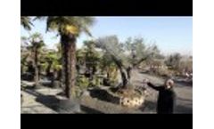 Fox Motori -RU-3 Video