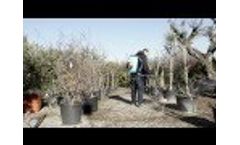 Fox Motori -RU-2 Video