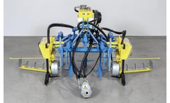 Maggio - Model LAMAX - DM - Inter-Row Combined Machine With Double Blades for Vineyards