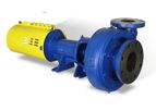 Carver - Model GH - End Suction Centrifugal Pump