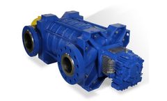 Carver - Model RS - Multistage Ring Section Pump