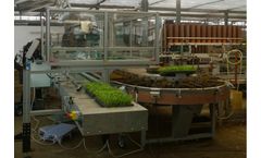 Tea Project - Model TEA 2000 J - Transplanters for Pots/Packs