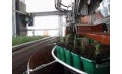 TEA XT600J (CUBE2000J)  Transplanter Video