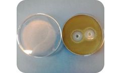 Bactoforce - Microbiological Fertilizer